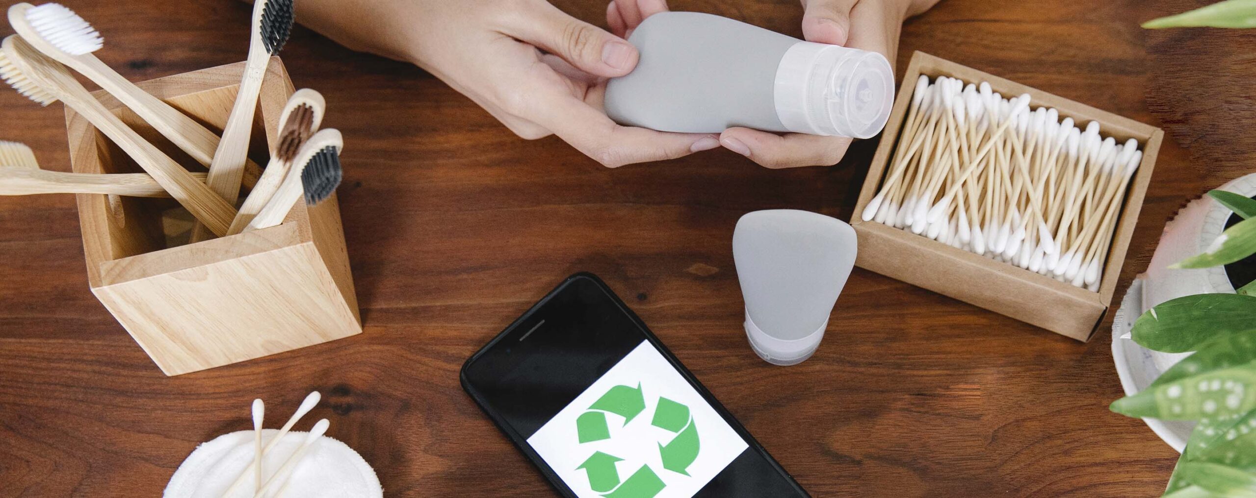 5 Tips Para Ser un Viajero Eco-friendly