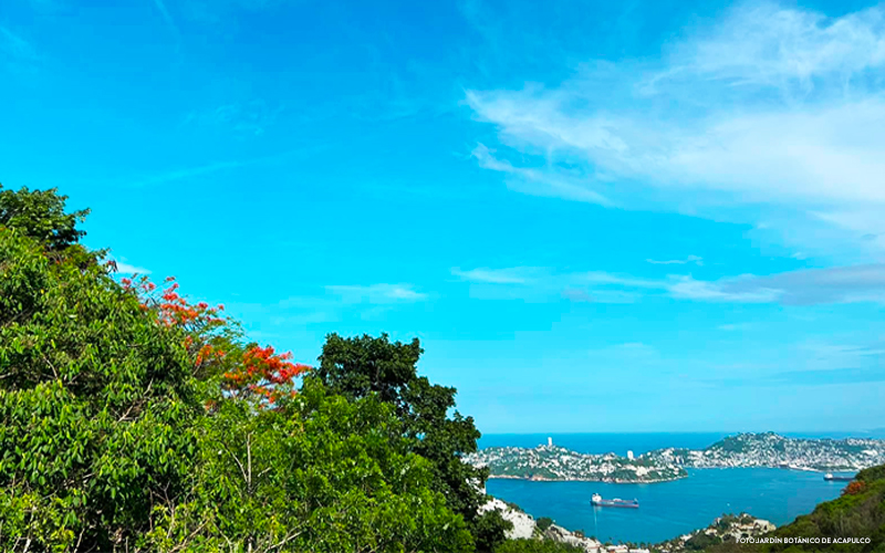 vista desde el jardin botanico de acapulco
