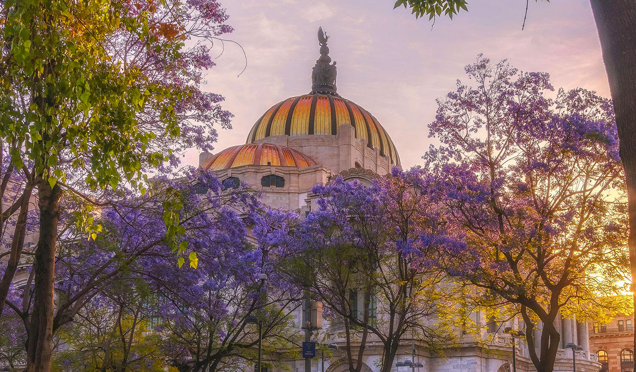 Encanto Inagotable en la CDMX